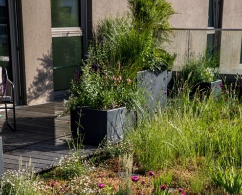 Pflanzkübel auf einer Dachterrasse