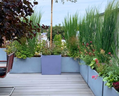 Pflanzkübel auf einer Dachterrasse