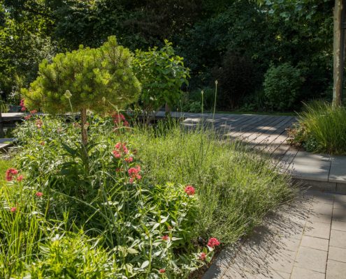 Schwimmteichgarten mit üppiger Bepflanzung