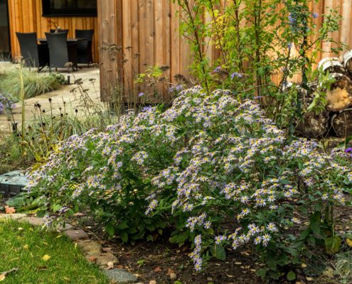 Versickerungsmulde im Hausgarten