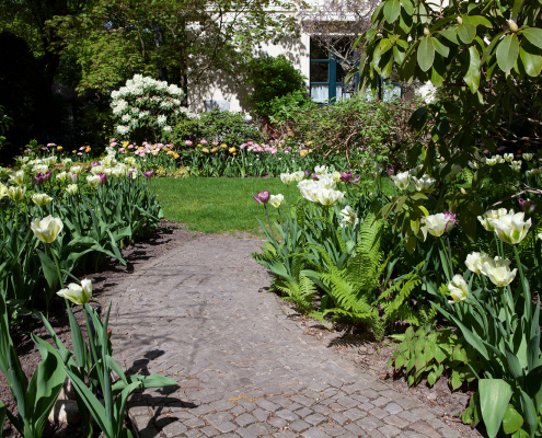 Gartenbepflanzung und Pflasterweg